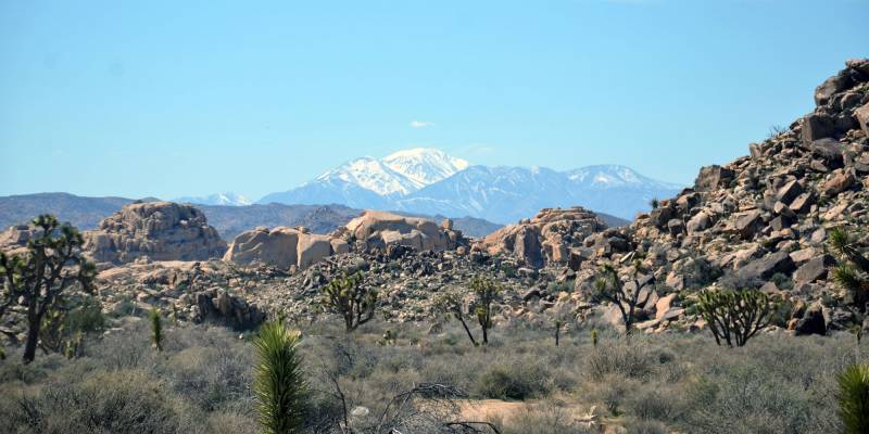 Homes For Sale in Joshua Tree | Kevin Stanley Realtor